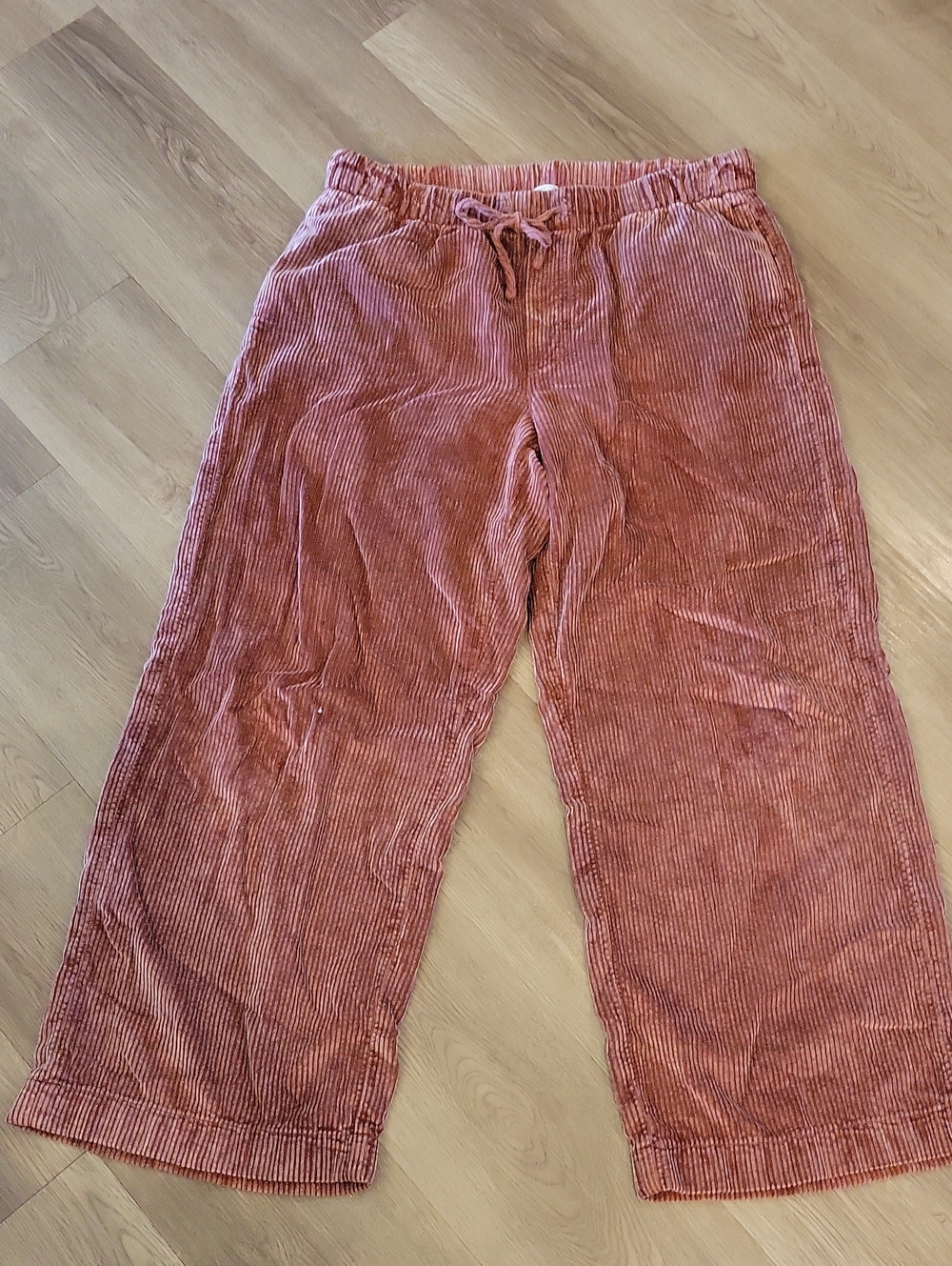 AE Lounge Cord Mauve Pants